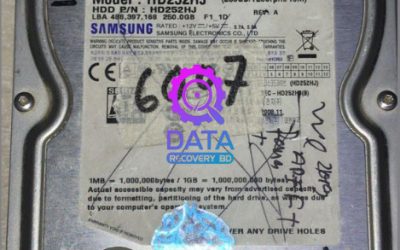 Samsung Hard Disk HD252HJ Data Recovery